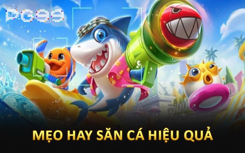 Mẹo hay săn cá hiệu quả